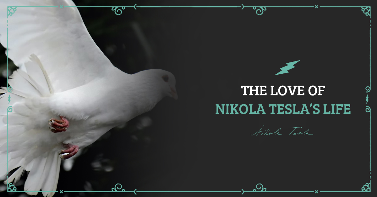 The love of Nikola Tesla’s life - Nikola Tesla Wiki - Nikola Tesla Legend